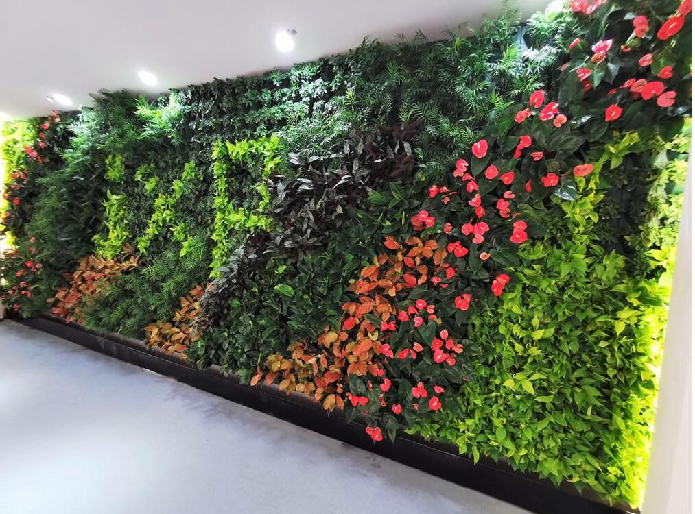 苏州室内走廊活体植物墙效果展示