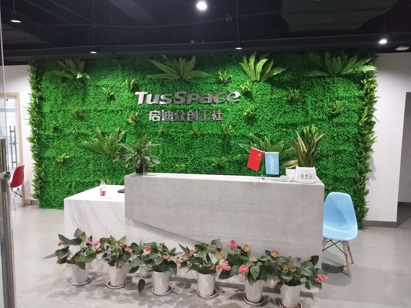 无锡公司前台仿真植物形象墙效果