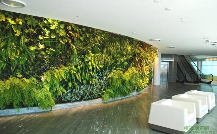 苏州酒店大面积植物墙效果 