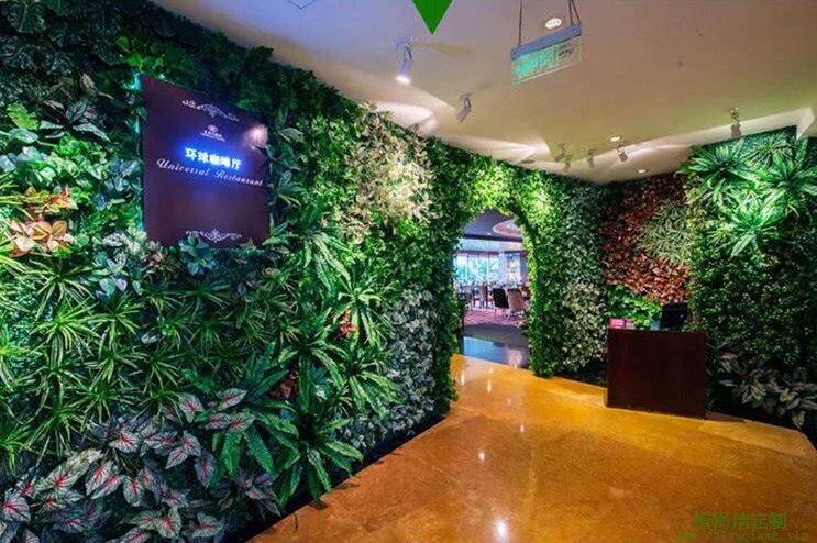 苏州咖啡厅仿真植物墙布置效果