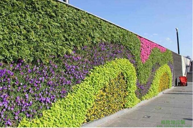 苏州简洁的小区植物墙效果