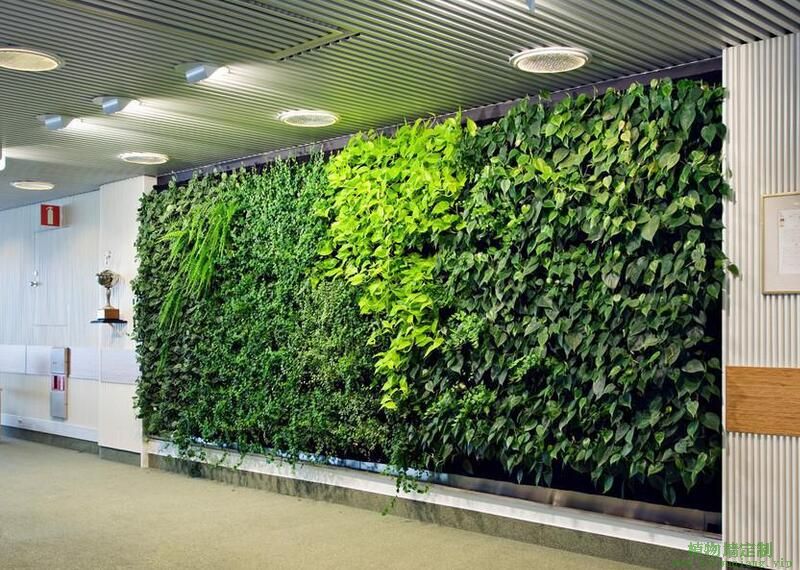 苏州商场内简洁的植物墙效果