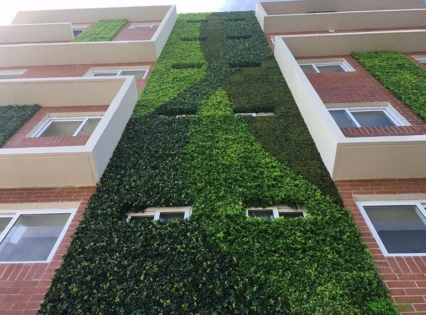 无锡户外垂直绿化包窗植物墙