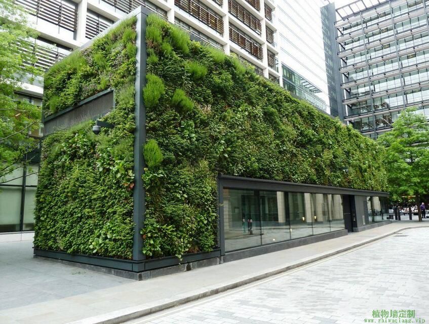 苏州户外墙面垂直绿化植物墙