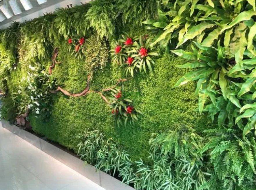 什么是植物墙绿化，适合试用哪些植物？