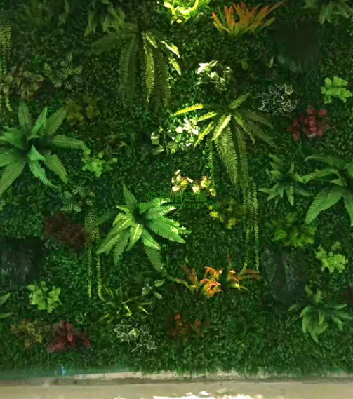 仿真植物墙多久换一次水？
